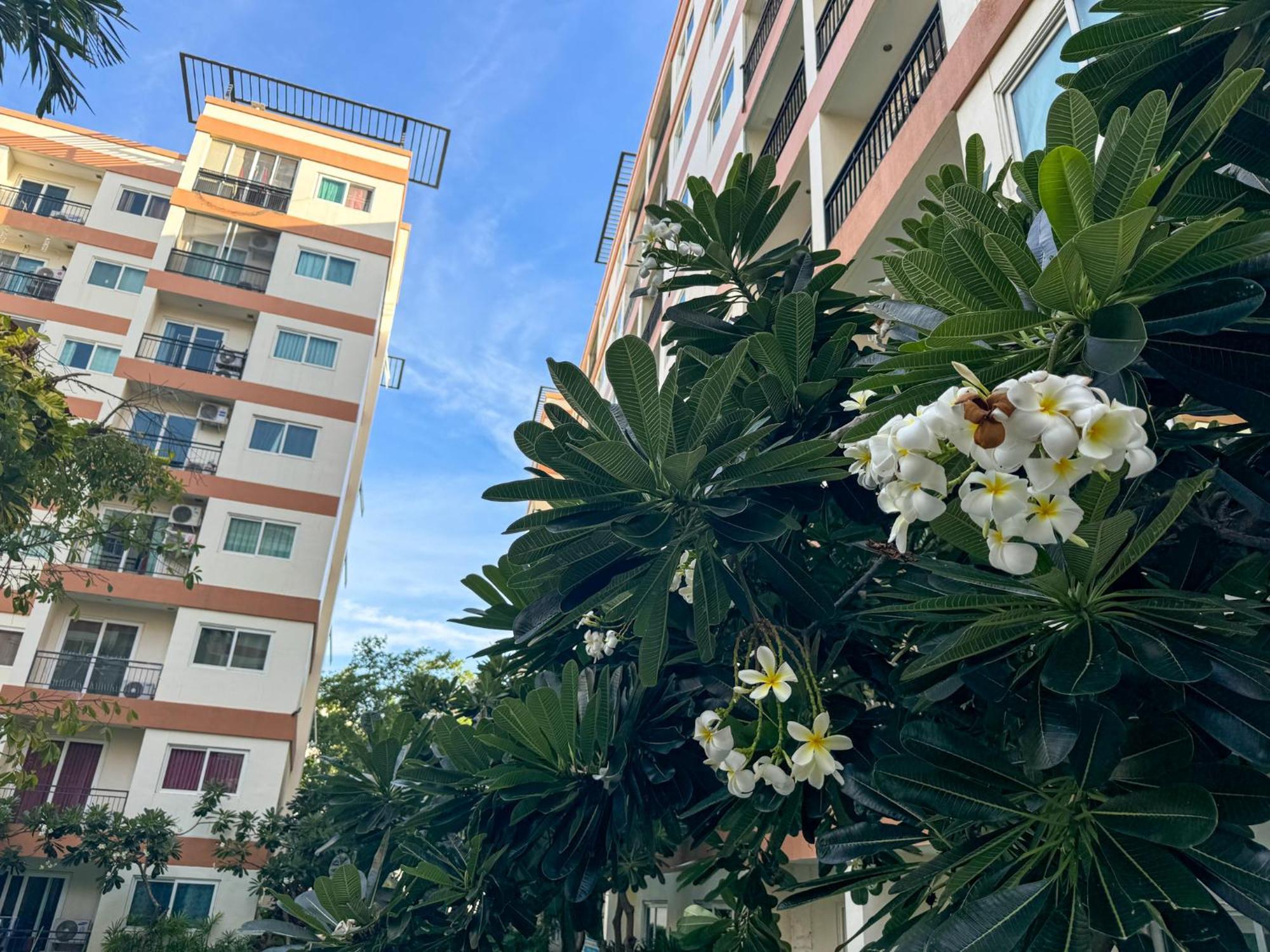 卧室直达泳池 全网最低价 到中天海滩5分钟 Jomtien Exterior foto