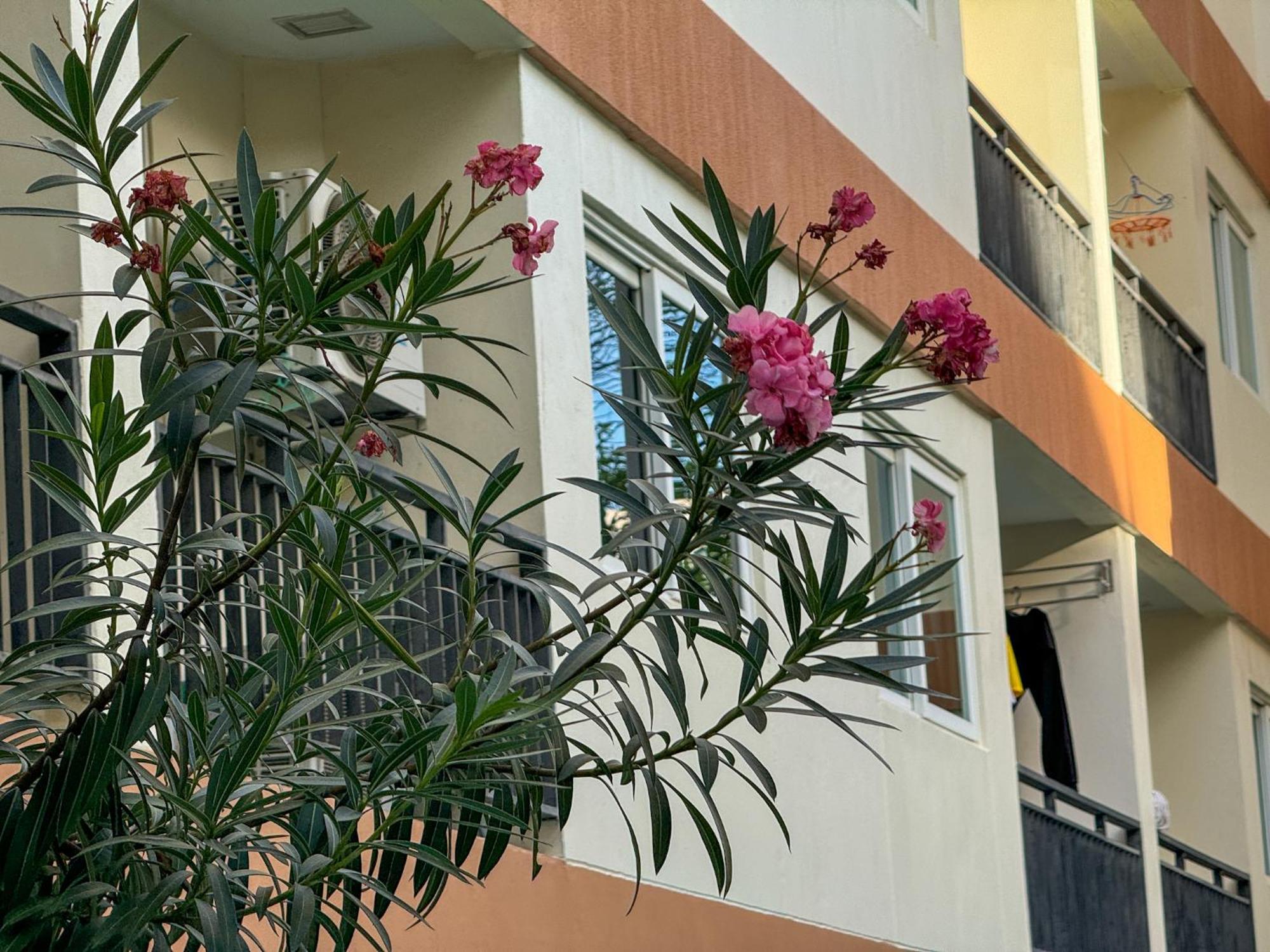卧室直达泳池 全网最低价 到中天海滩5分钟 Jomtien Exterior foto